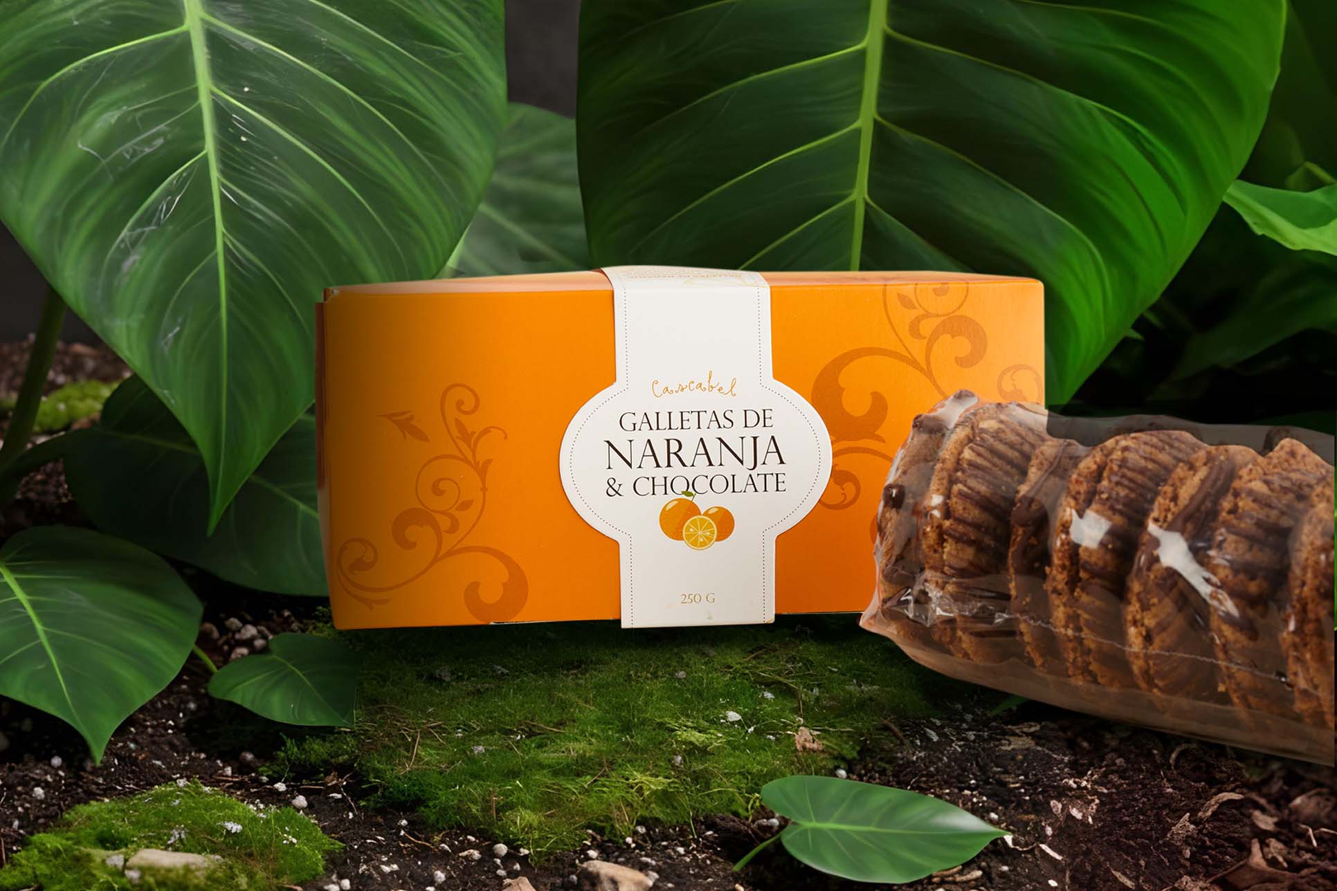 Galletas Naranja y Chocolate en caja